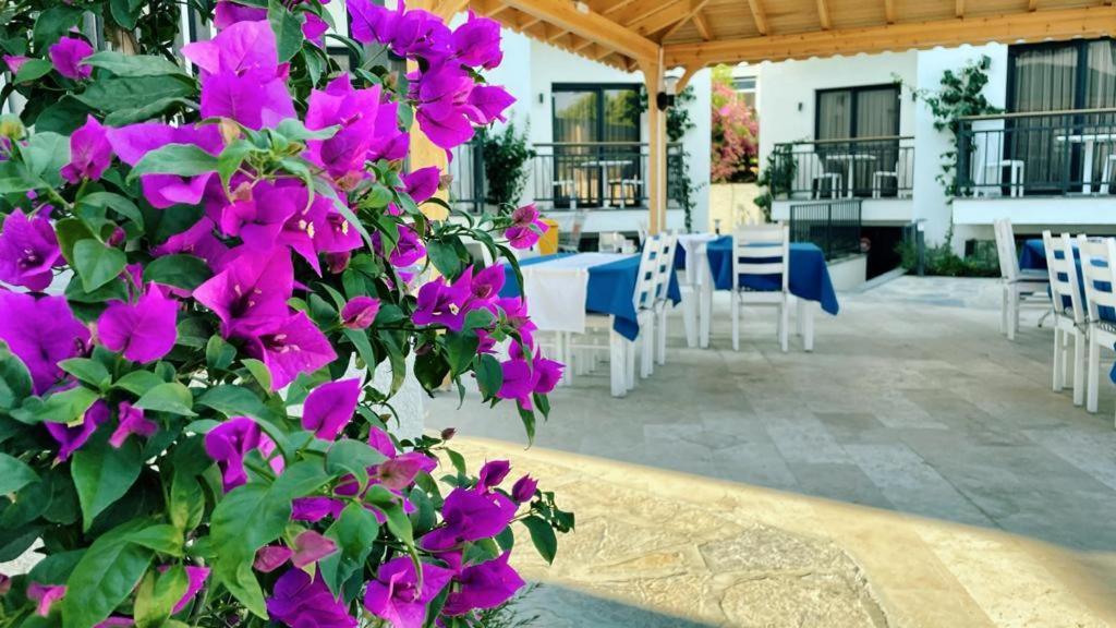 Orion Hotel ビテツ エクステリア 写真